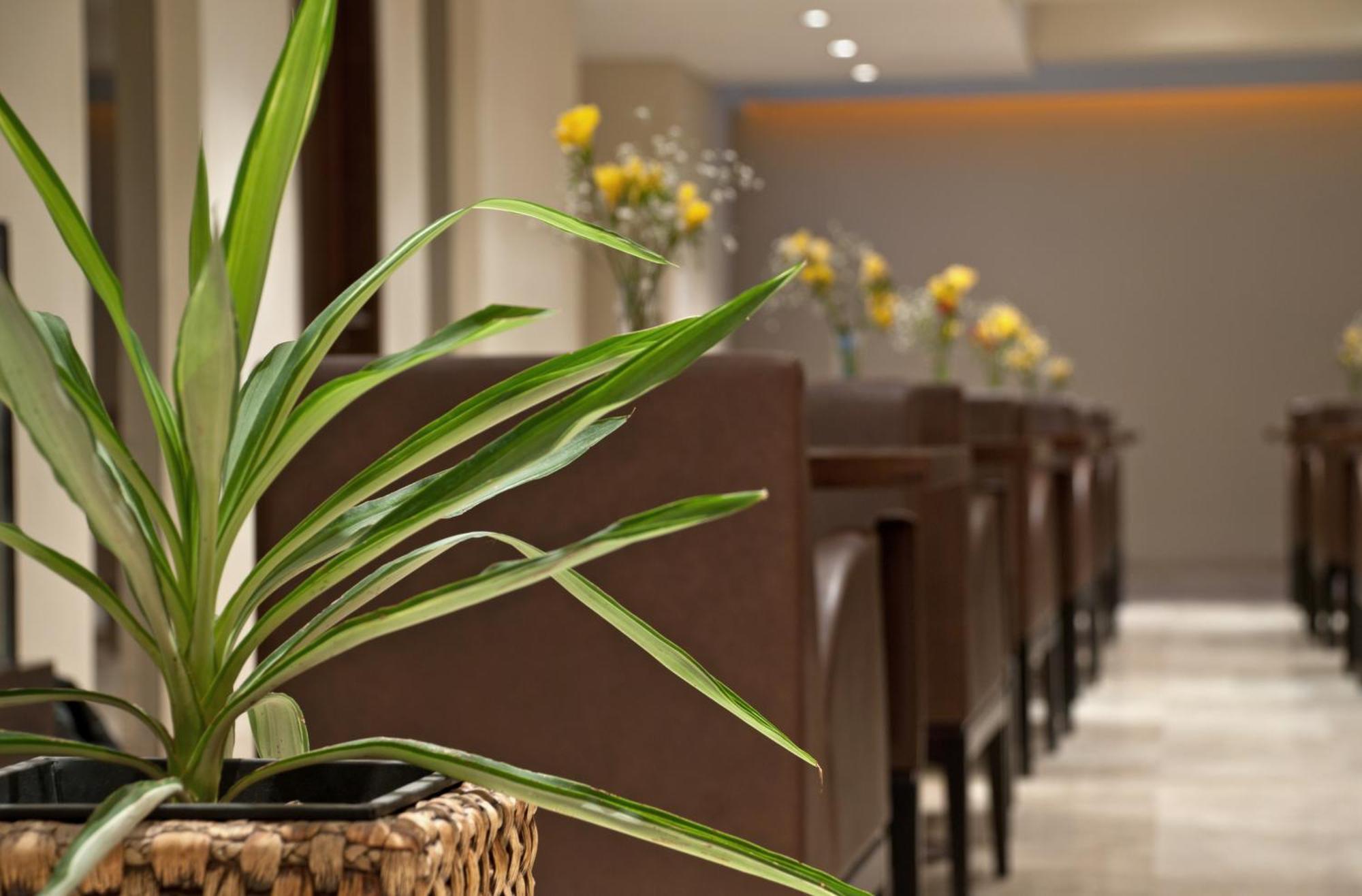 Hotel Punta Del Este Mar del Plata Ngoại thất bức ảnh